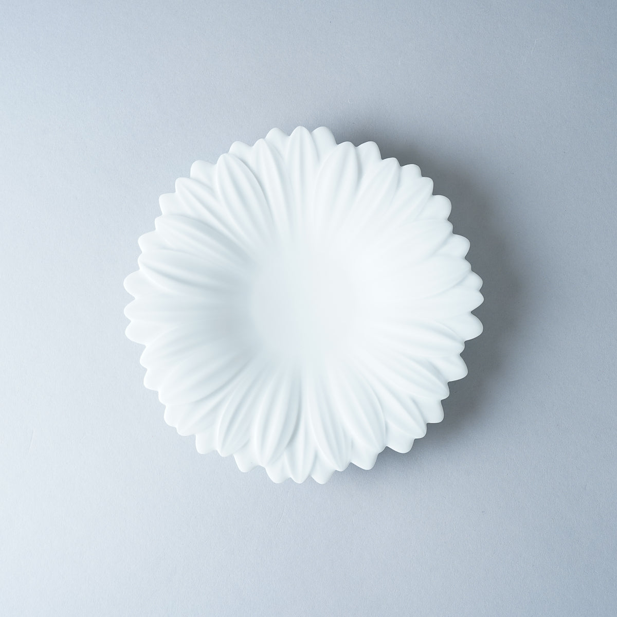 有田焼 ガーベラプレート(S) 17.5cm 白磁マット Riso Studio1156