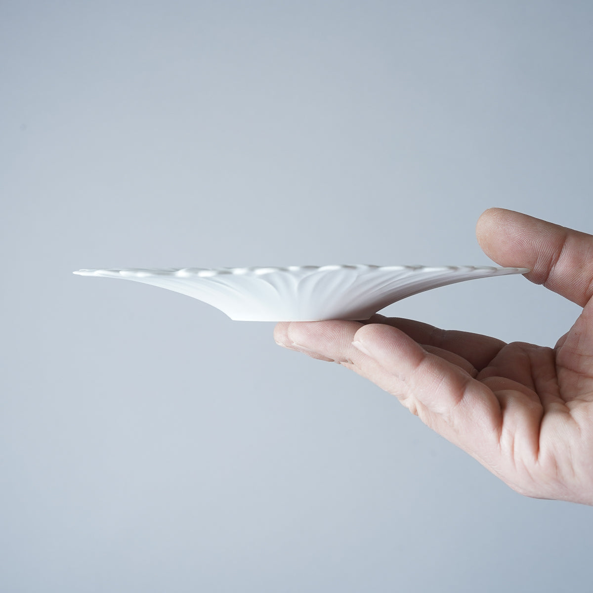 有田焼 ガーベラプレート(S) 17.5cm Riso Studio1156