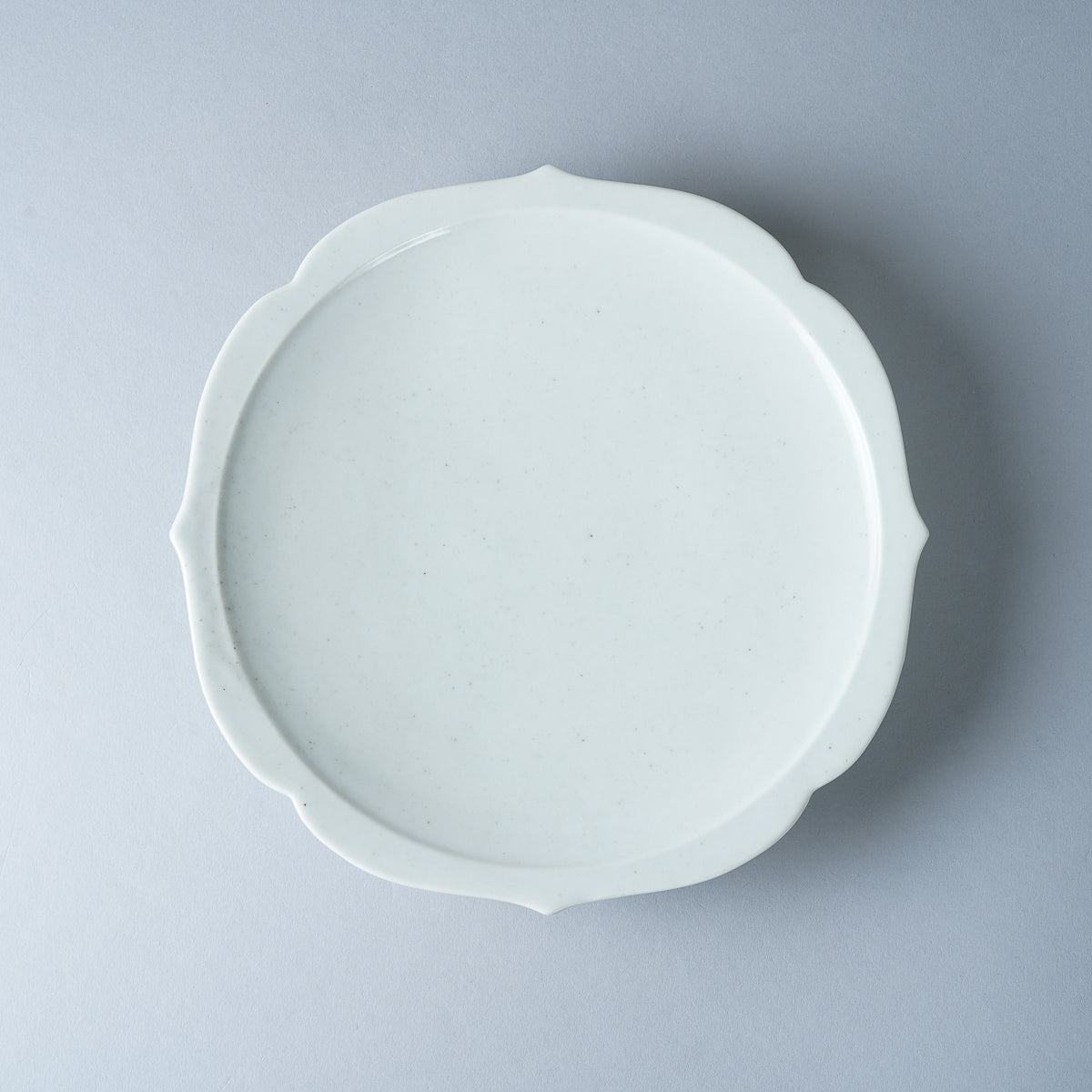 有田焼 土灰釉 桔梗渕六五寸平皿 20cm Zuiho Studio1156