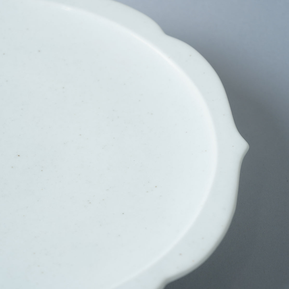 有田焼 土灰釉 桔梗渕六五寸平皿 20cm Zuiho Studio1156