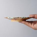 有田焼 五々寸芙蓉皿 16.5cm Zuiho Studio1156