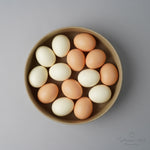 波佐見焼 HASAMI PORCELAIN ORIGINAL ボウル(L) 22cm HASAMI PORCELAIN Studio1156