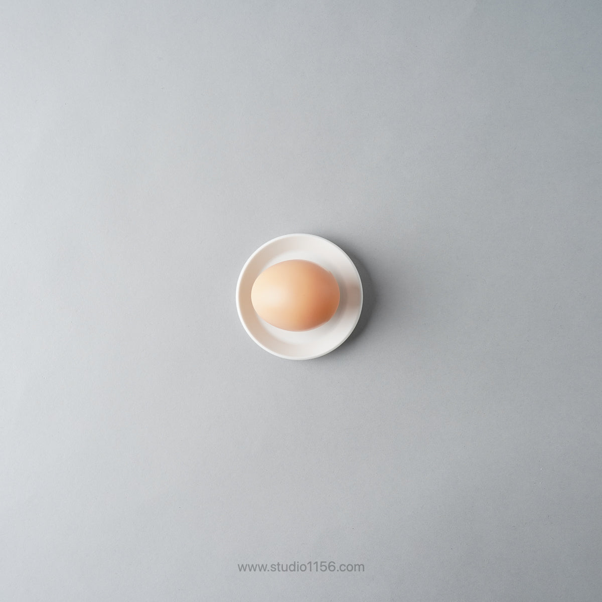 有田焼 ラウンドプレート ホワイト / TY Round Plate Plain White 1616