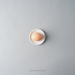 有田焼 ラウンドプレート ホワイト / TY Round Plate Plain White 80 1616 / Arita Japan Studio1156